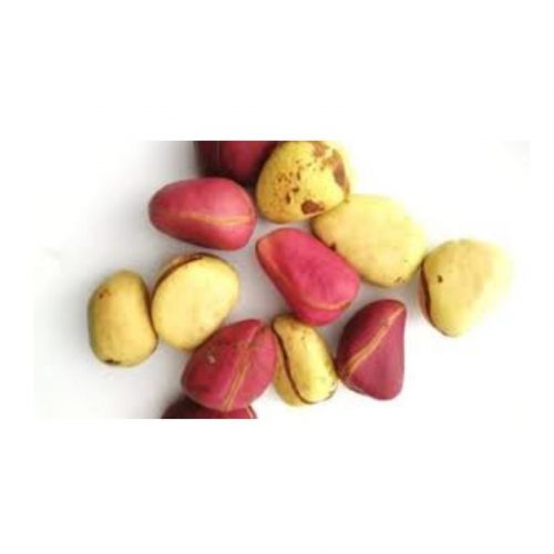 KOLANUT 50G