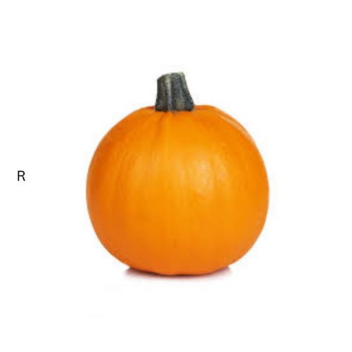 PUMPKIN SMALL