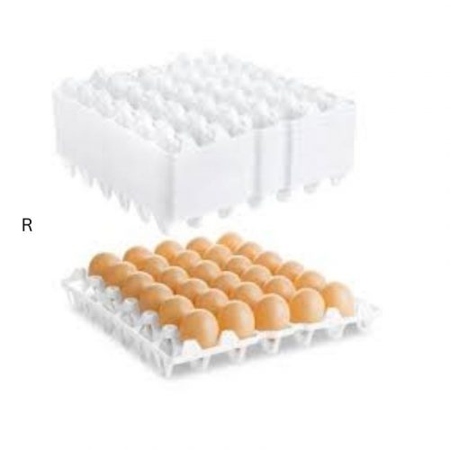 SVL LARGE EGGS 12PCS