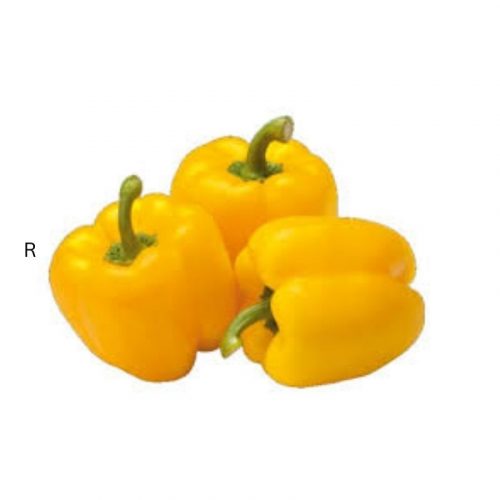 YELLOW BELL PEPPER