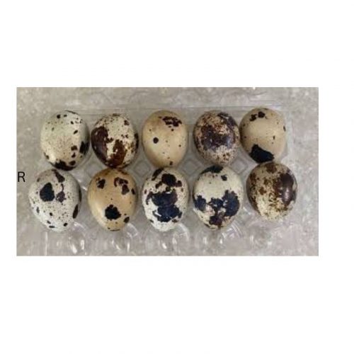 QUAIL EGGS