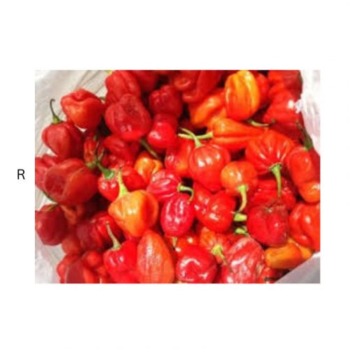 RED SCOTH BONNET BOX