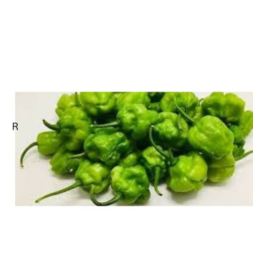 GREEN SCOTH BONNET