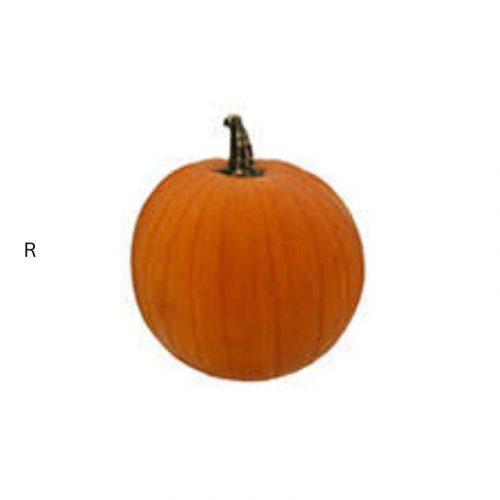 PUMPKIN MEDIUM