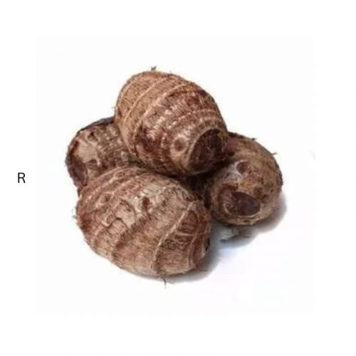 EDDEOS SMALL COCOYAM