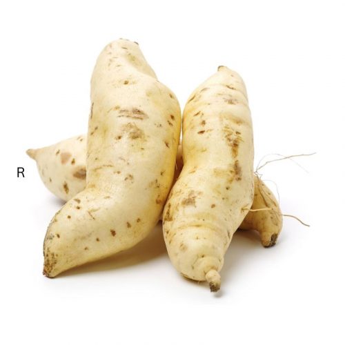 SWEET POTATO WHITE-UGANDA