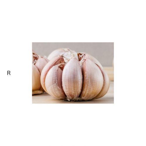 GARLIC