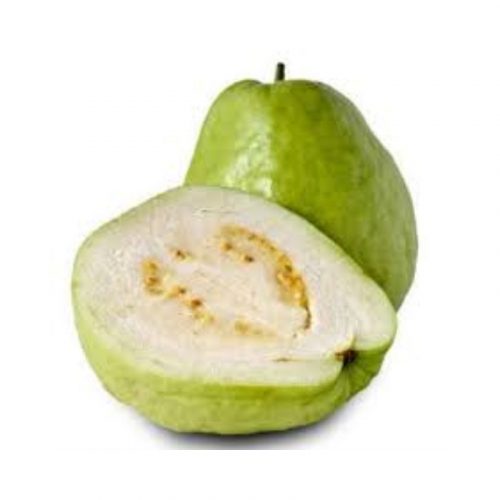 GUAVA