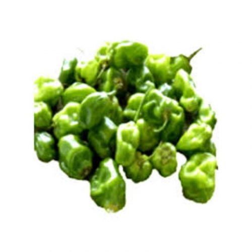 GREEN SCOTH BONNET HALF BOX