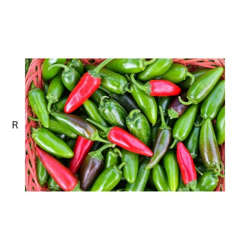 BEV JALAPENOS RED & GREEN