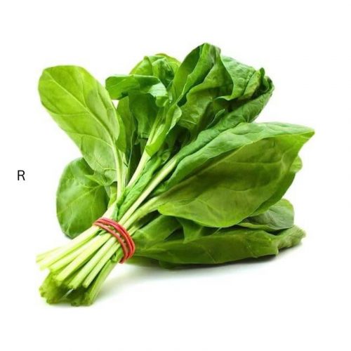 FRESH SPINACH