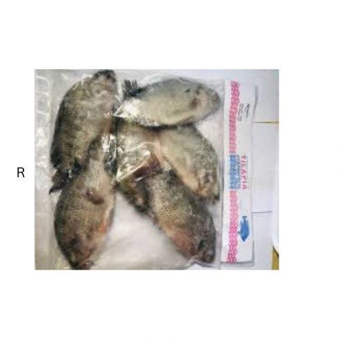 TILAPIA XPRESSFISH