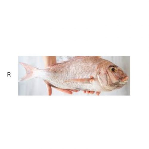 WHOLE RED BREAM