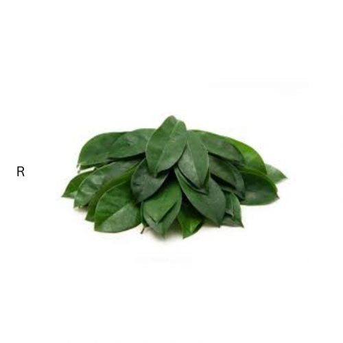 SOURSOP LEAVES